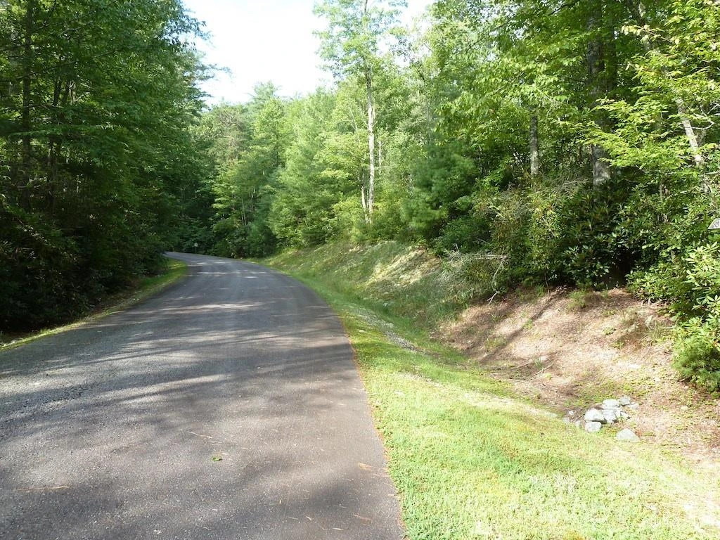 30 Abby Falls Drive #30 - Photo 38