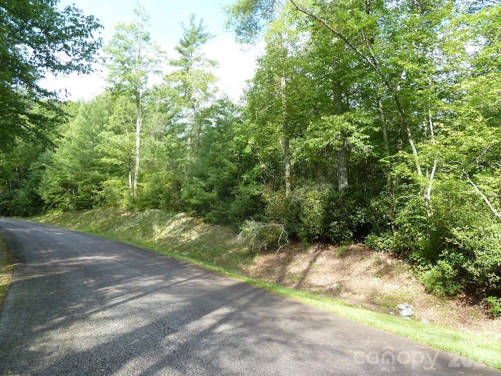 30 Abby Falls Drive #30 - Photo 39