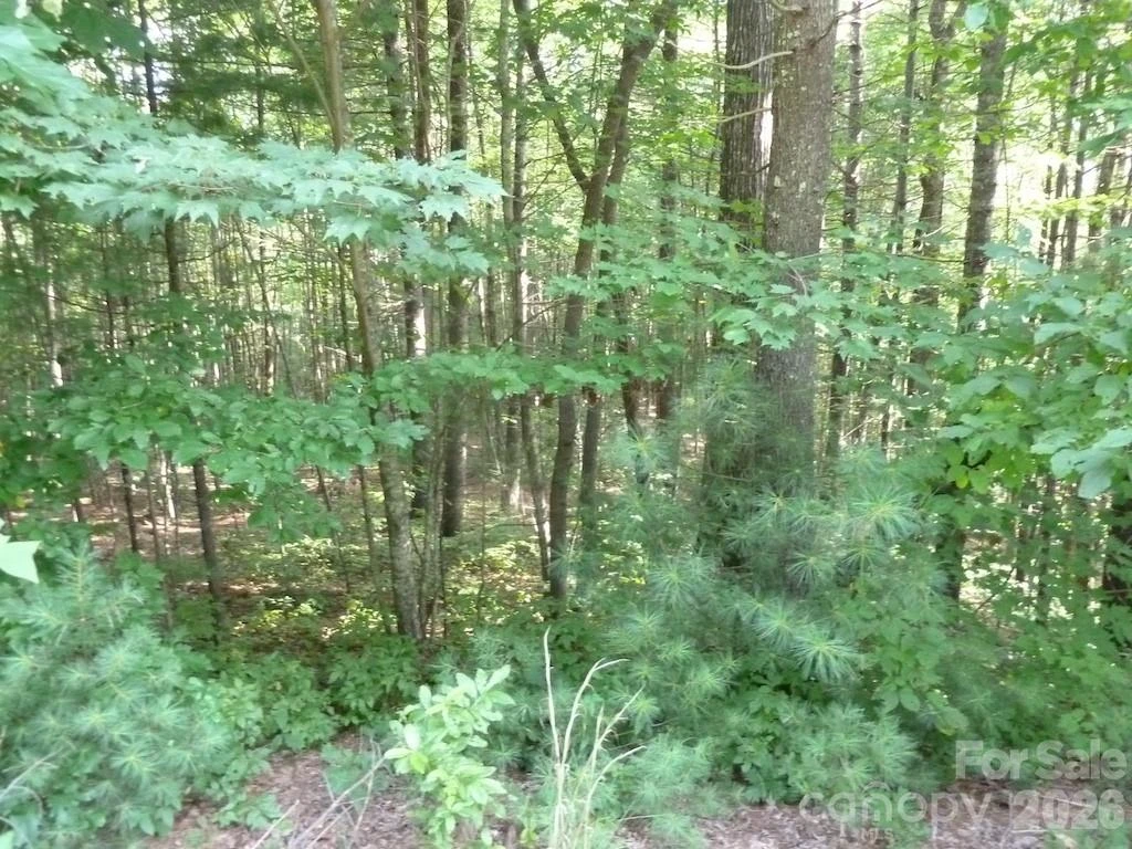 30 Abby Falls Drive #30 - Photo 42