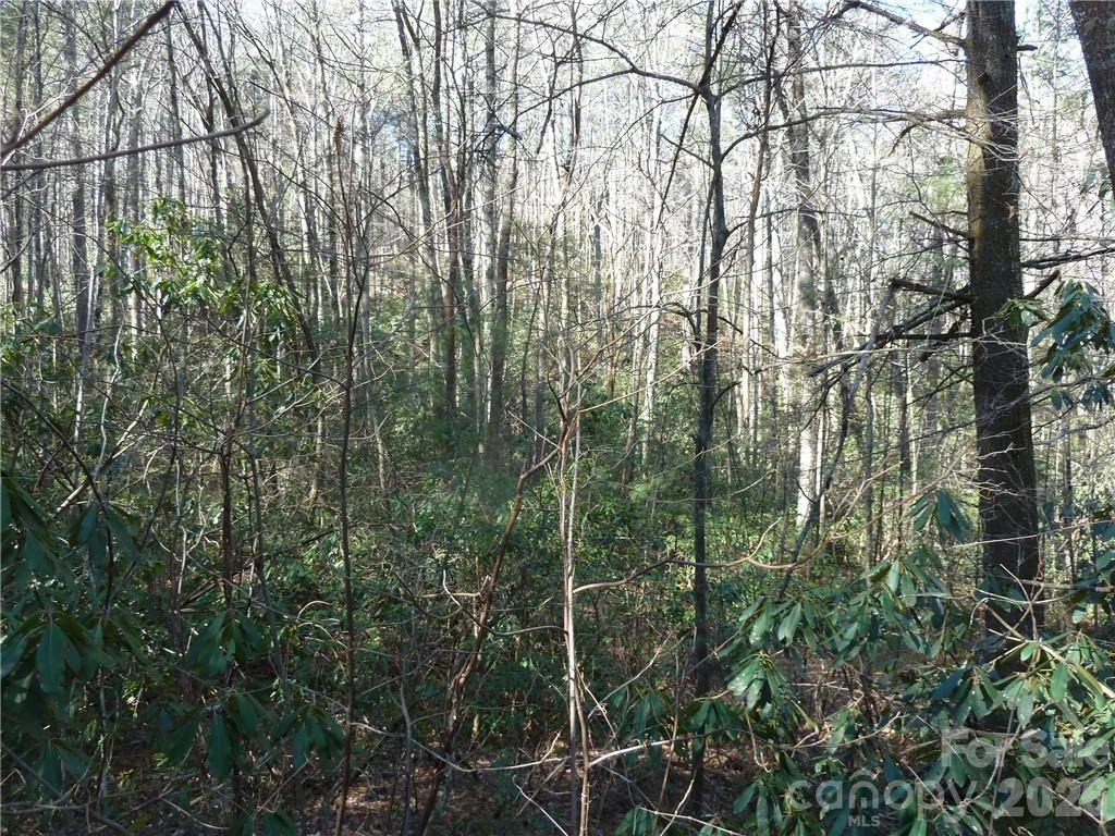 30 Abby Falls Drive #30 - Photo 44