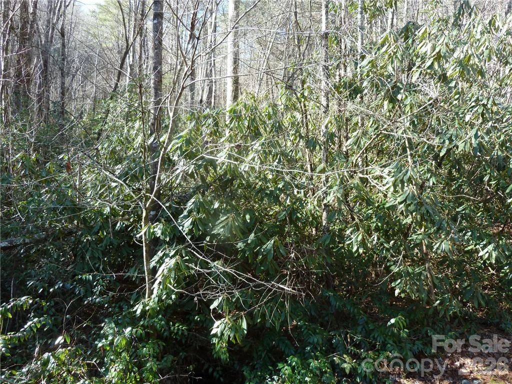30 Abby Falls Drive #30 - Photo 47