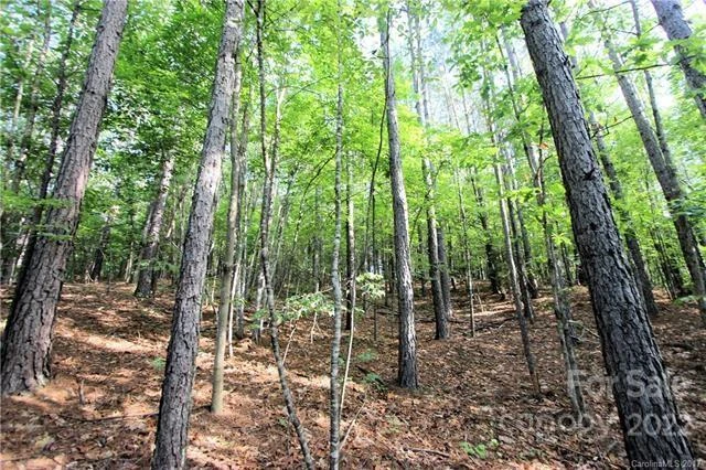 0 Chasewood Drive #8 - Photo 6