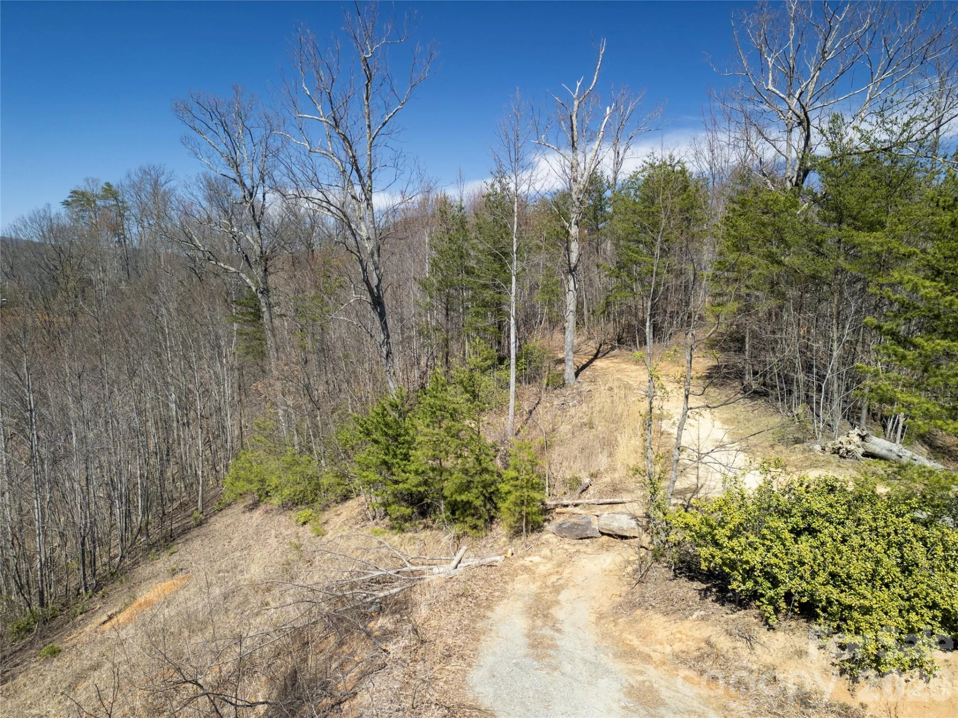 31 High Rock Ridge #31 - Photo 2