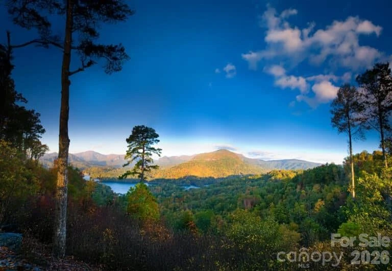 31 High Rock Ridge #31 - Photo 5