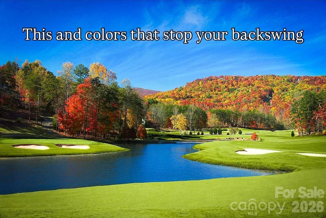 31 High Rock Ridge #31 - Photo 11