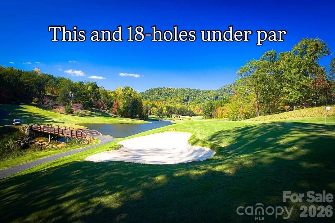 31 High Rock Ridge #31 - Photo 13