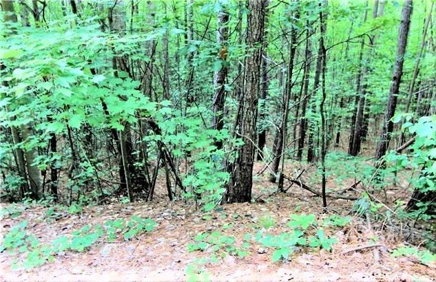 0 Chasewood Drive #13 - Photo 2