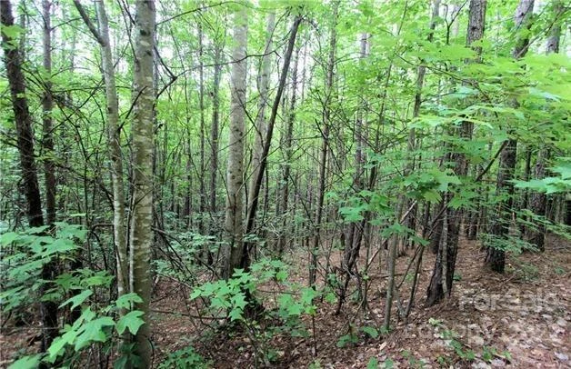 0 Chasewood Drive #13 - Photo 6