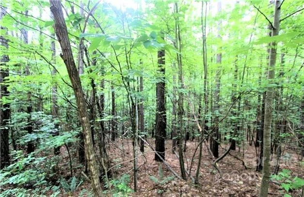 0 Chasewood Drive #16 - Photo 2