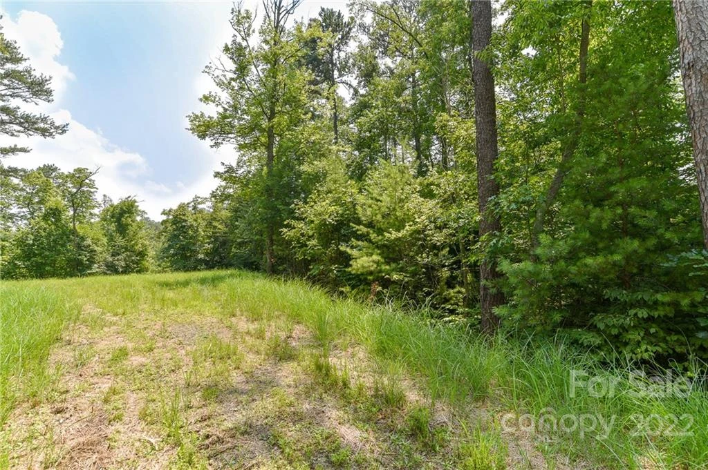 Lot 4 The Vines Boulevard #Lot 4 - Photo 2