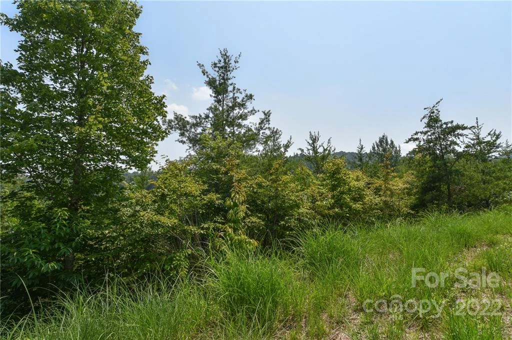 113 Chardonnay Avenue #10 - Photo 3