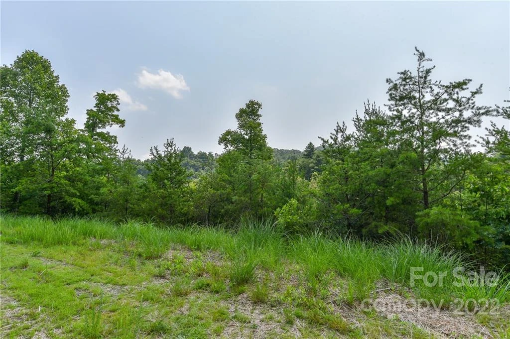 Lot 11 The Vines Boulevard #Lot 11 - Photo 3
