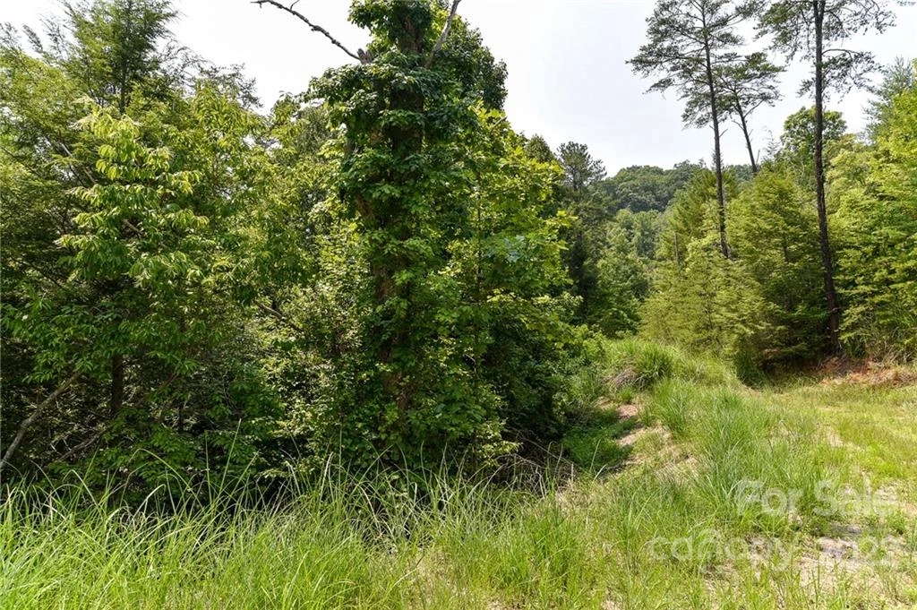 Lot 12 The Vines Boulevard #Lot 12 - Photo 2