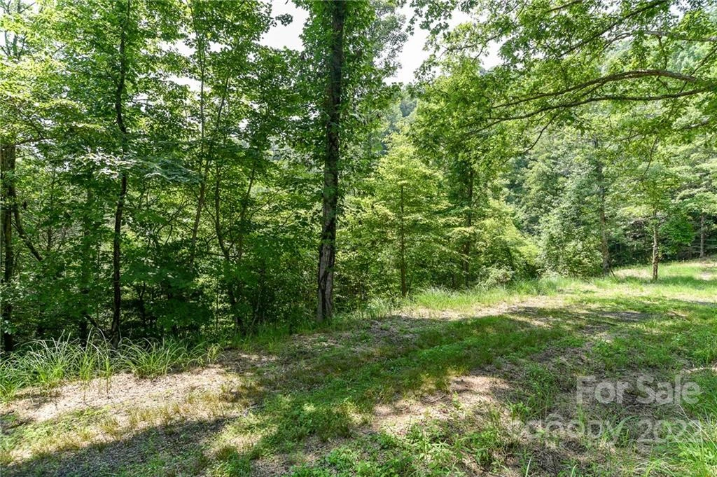 Lot 13 The Vines Boulevard #Lot 13 - Photo 2