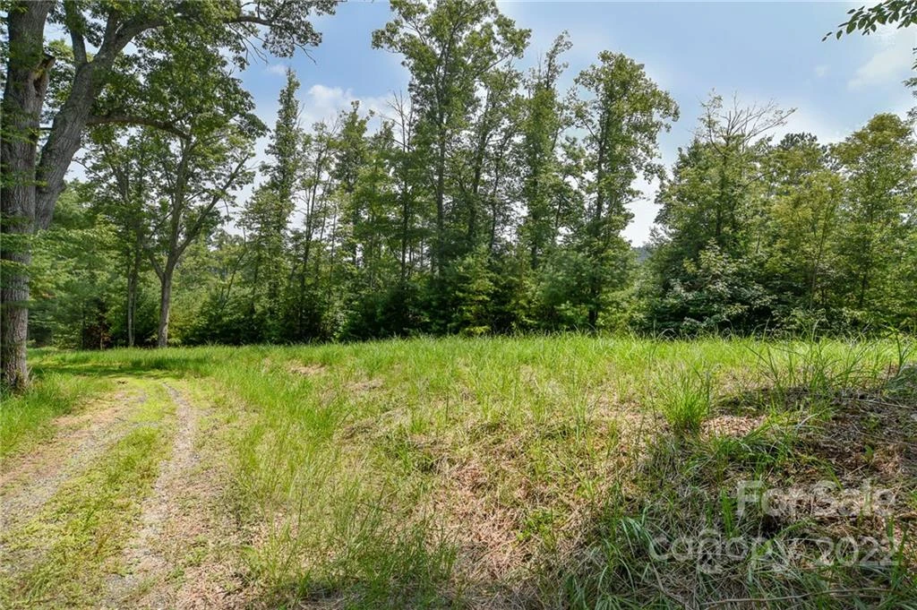 301 The Vines Boulevard #20