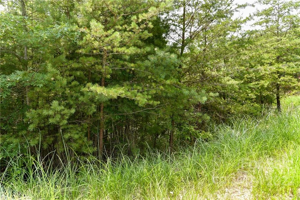Lot 22 The Vines Boulevard #Lot 22 - Photo 3