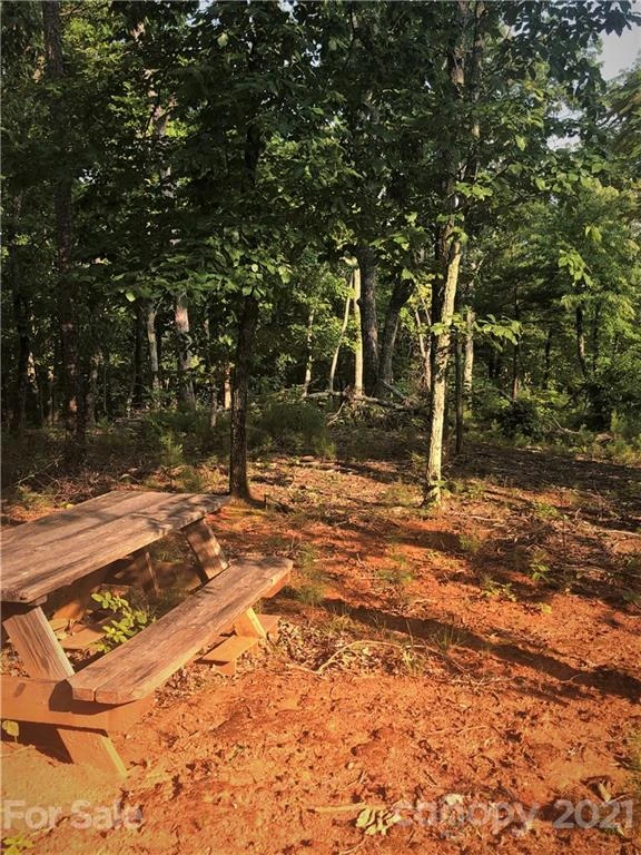 0 Lure Ridge Drive #27 - Photo 7