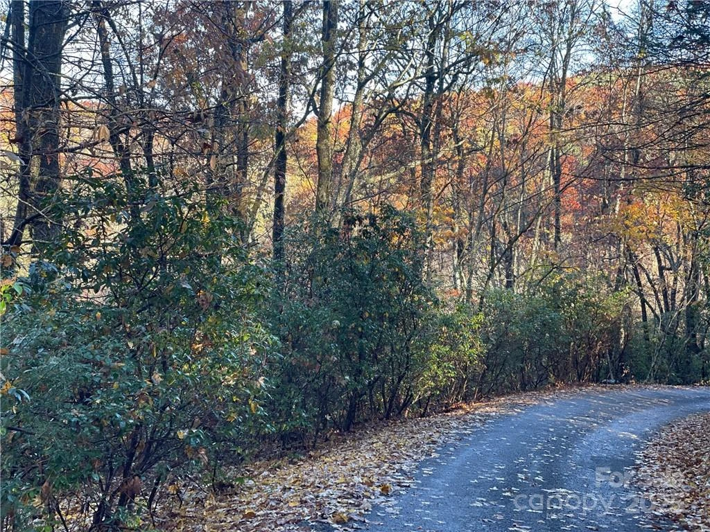 9999 Sassafras Road #4 - Photo 30