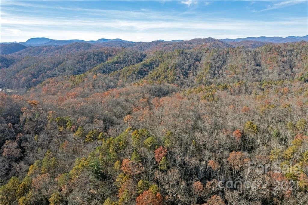 TBD Rosman Highway - Photo 5
