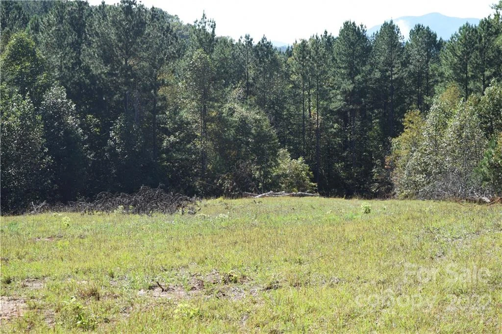 Tract 3 County Line Road - Photo 7