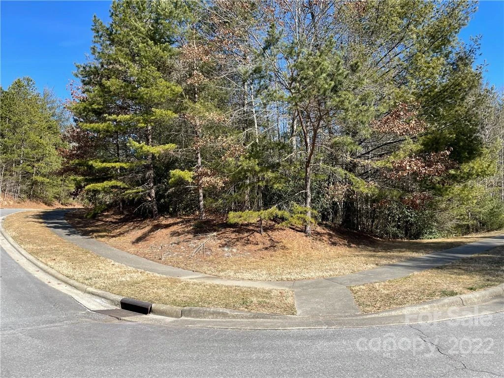 V30 Blueberry Hill Road - Photo 4