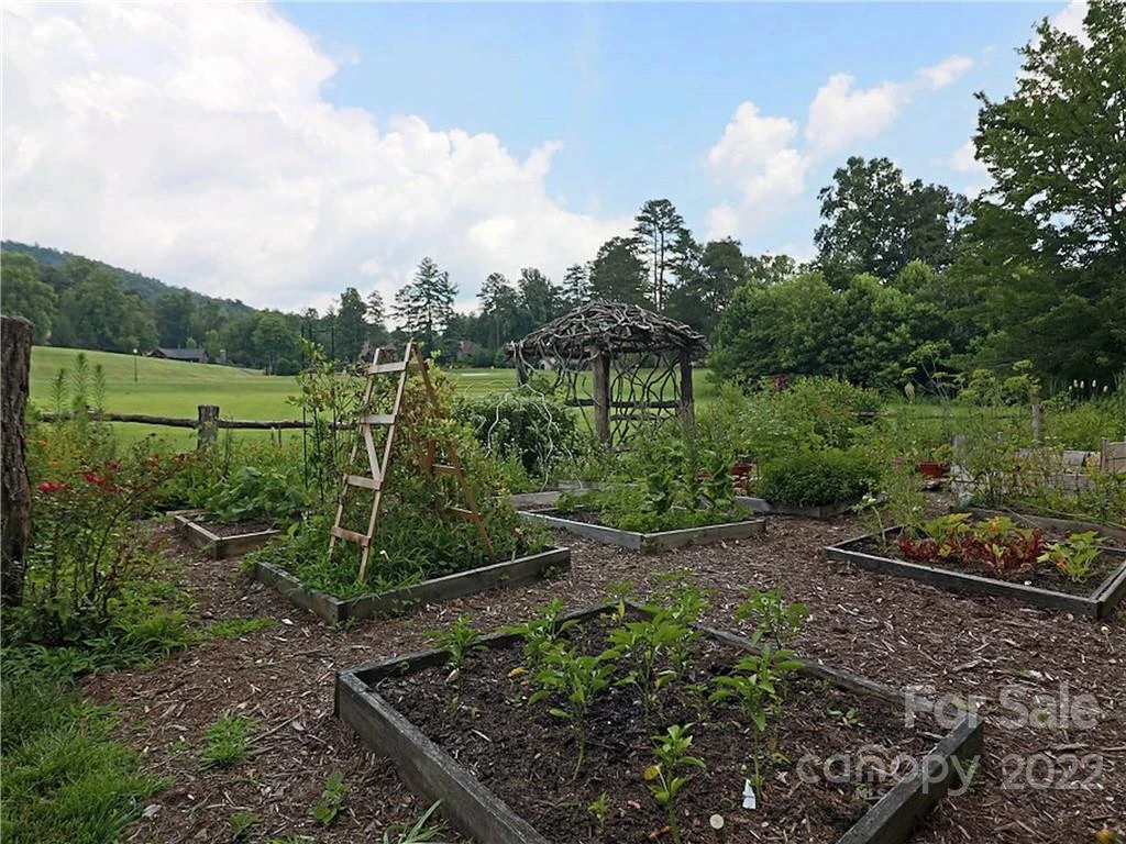V30 Blueberry Hill Road - Photo 21