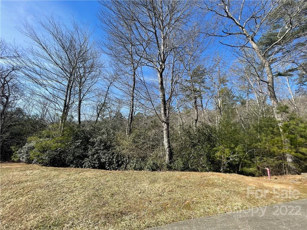SH11 Springhouse Trail - Photo 2