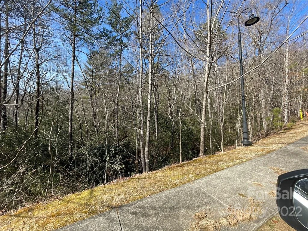SH11 Springhouse Trail - Photo 5