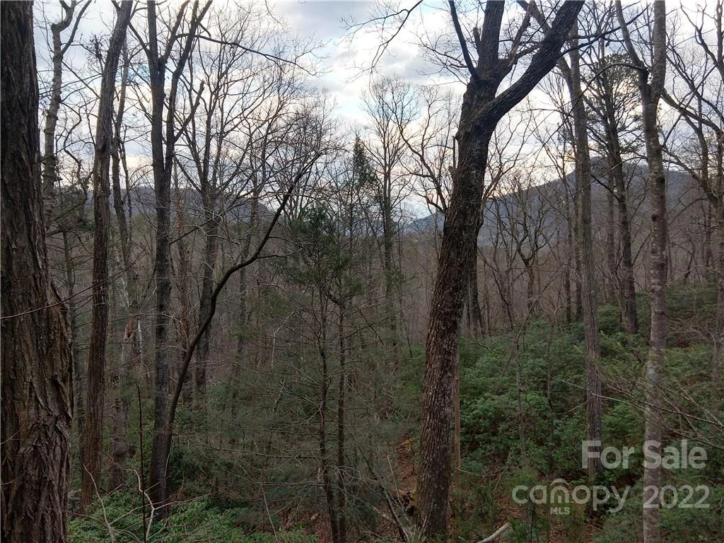 Lots 94 & 95 Rock Spring Road - Photo 2