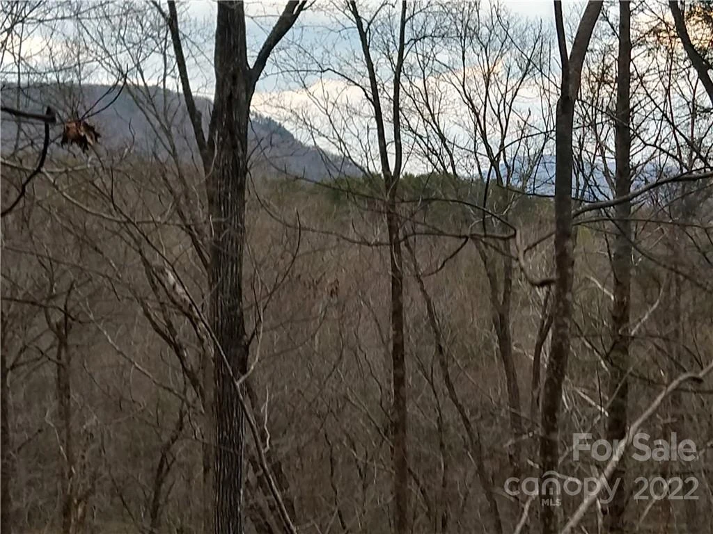 Lots 94 & 95 Rock Spring Road - Photo 3
