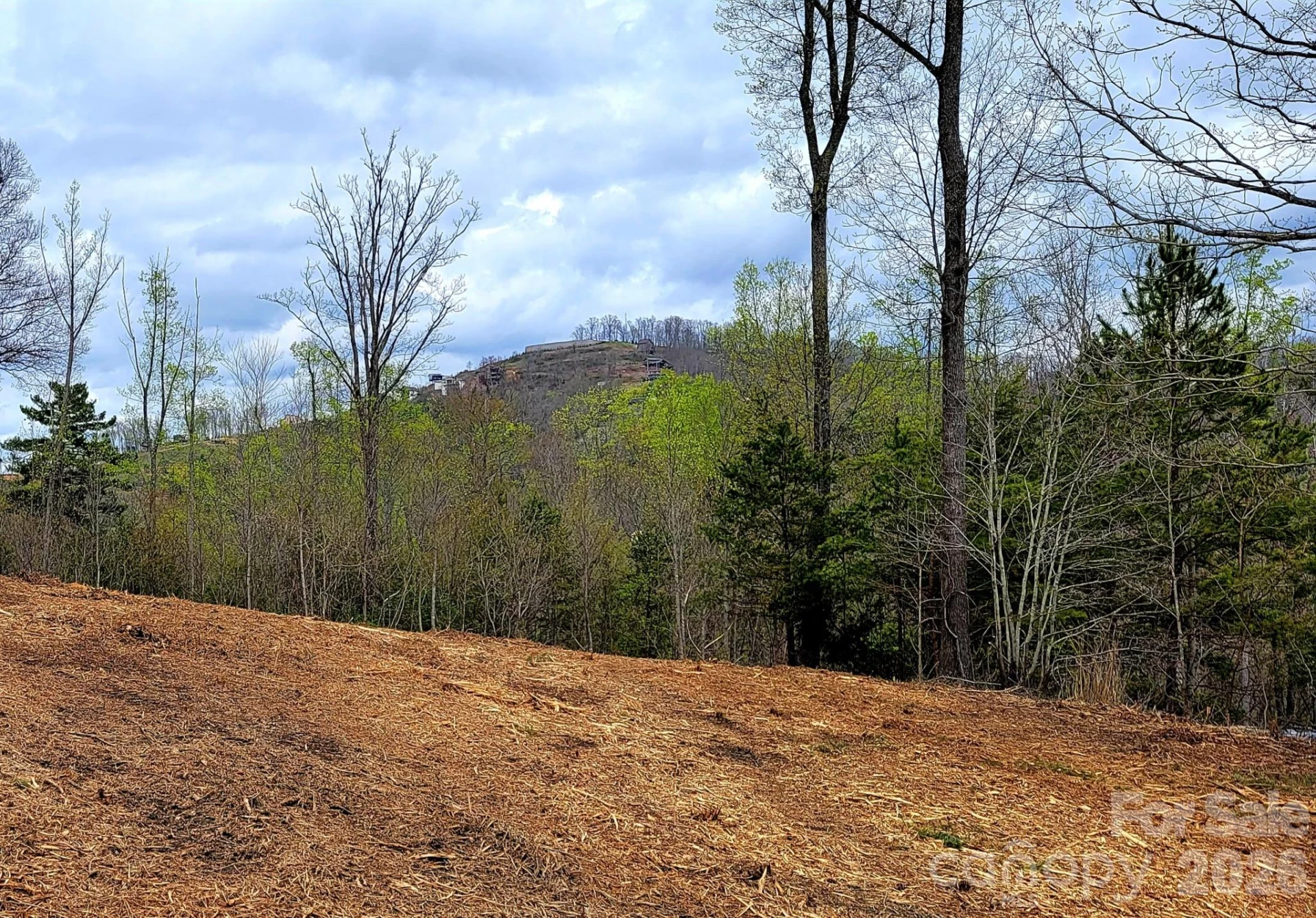 8 English Hills Drive - Photo 12