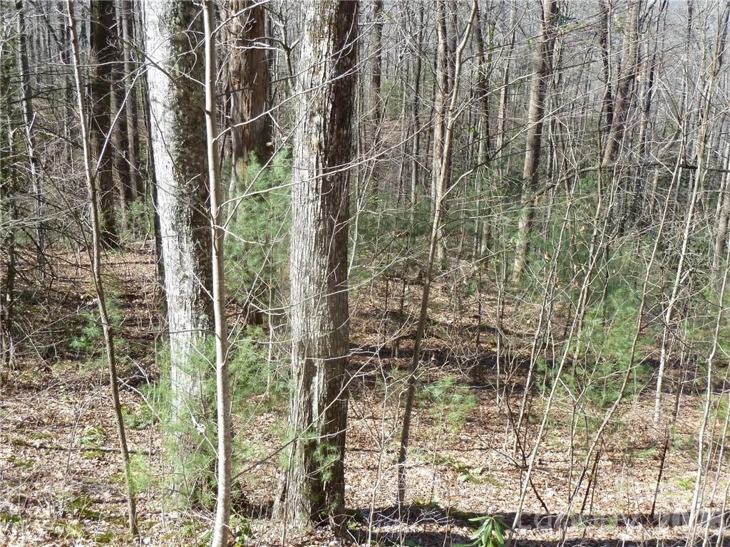 79 Peppervine Circle #L79 - Photo 4