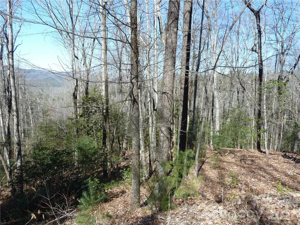 79 Peppervine Circle #L79 - Photo 6
