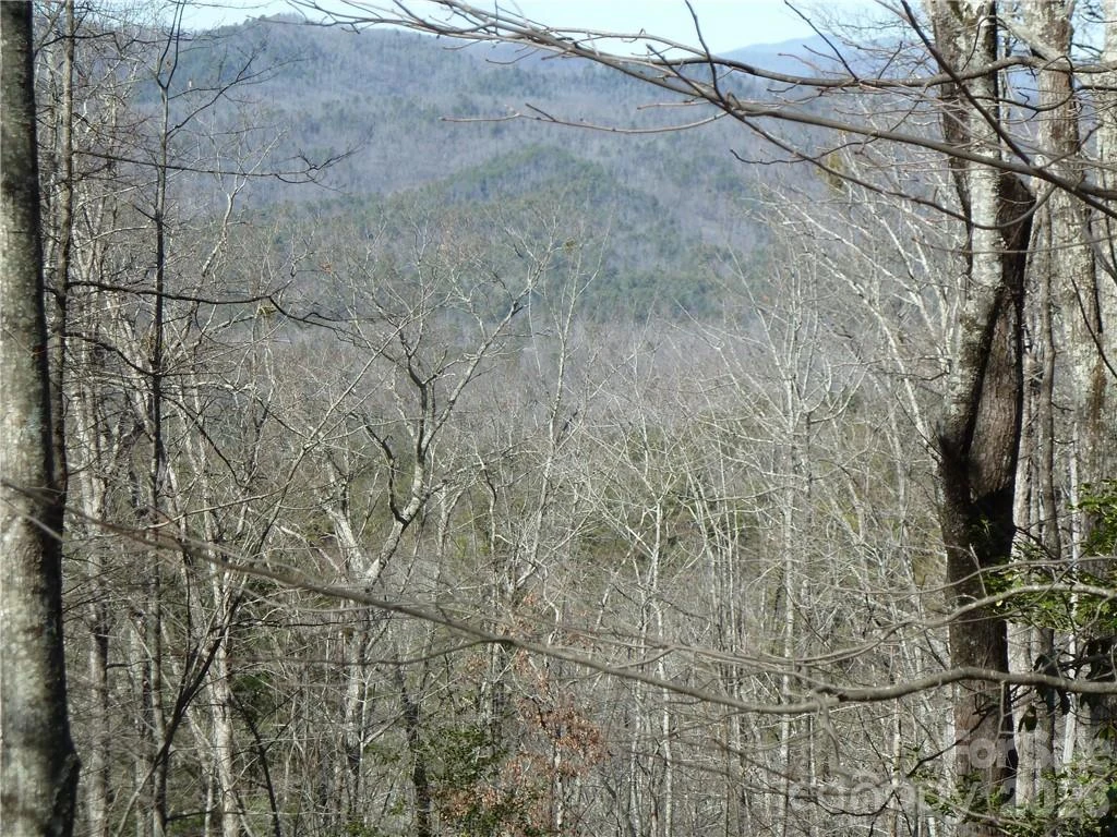 79 Peppervine Circle #L79 - Photo 7