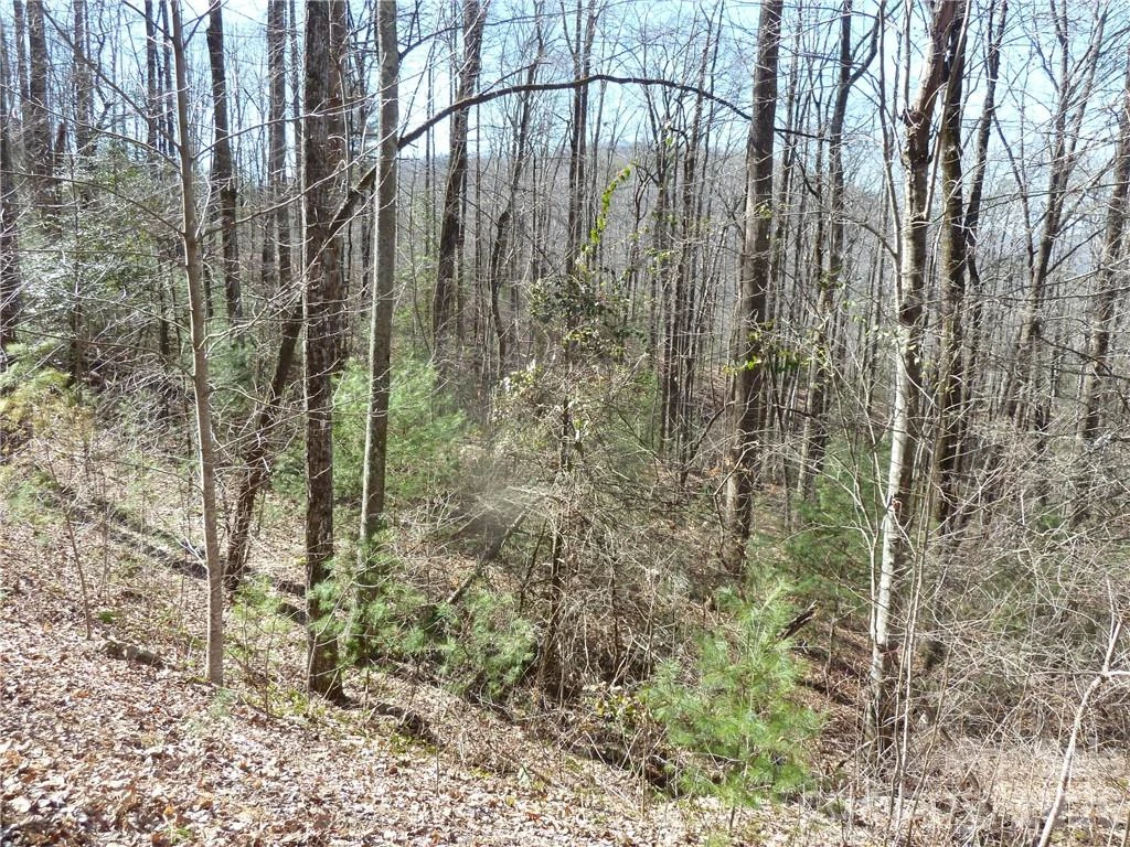 79 Peppervine Circle #L79 - Photo 8