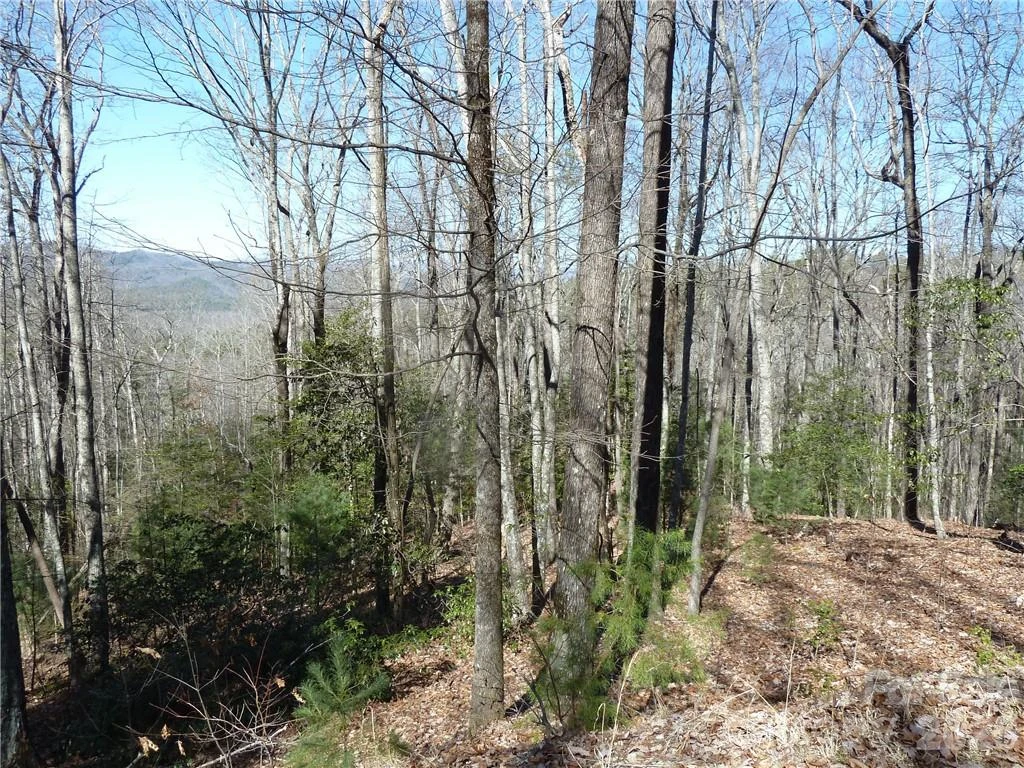 79 Peppervine Circle #L79 - Photo 10