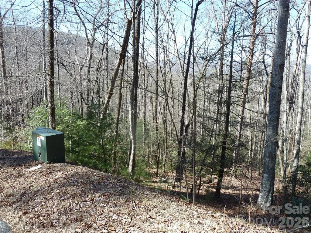 79 Peppervine Circle #L79 - Photo 26