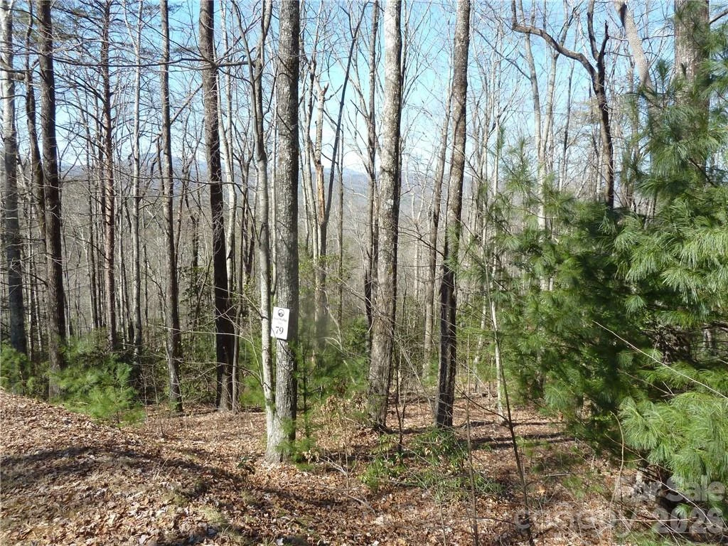79 Peppervine Circle #L79 - Photo 27