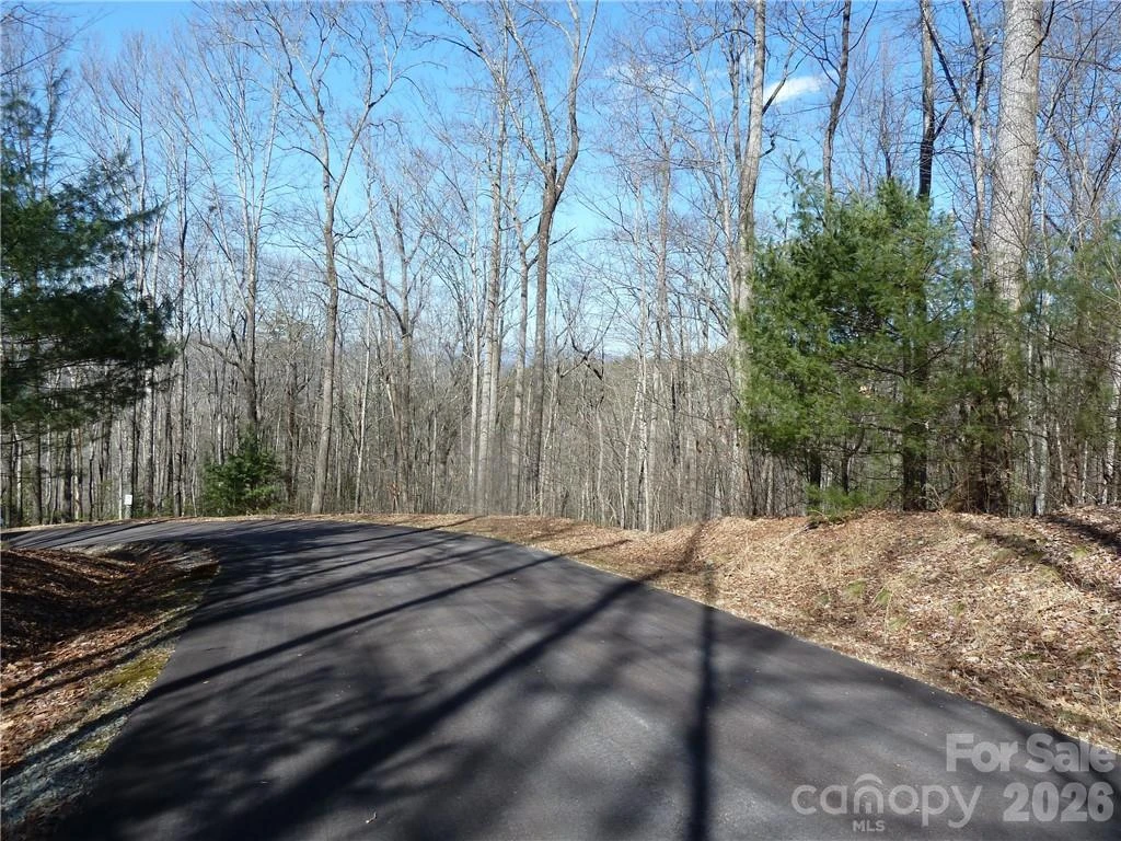 79 Peppervine Circle #L79 - Photo 32
