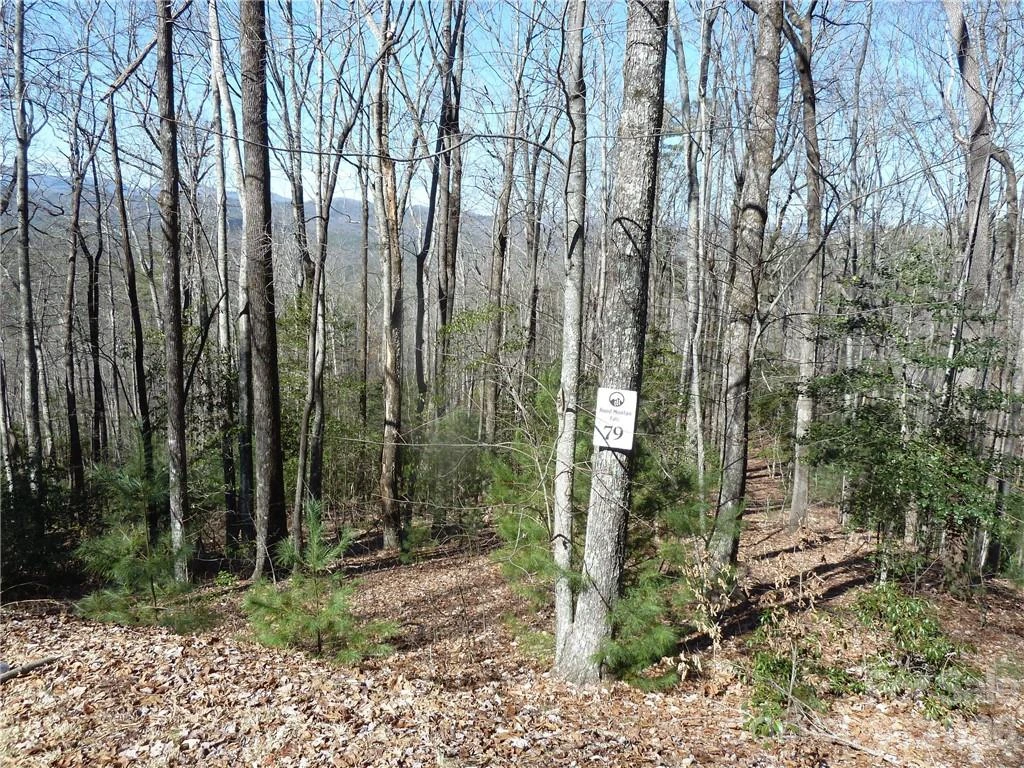 79 Peppervine Circle #L79 - Photo 37