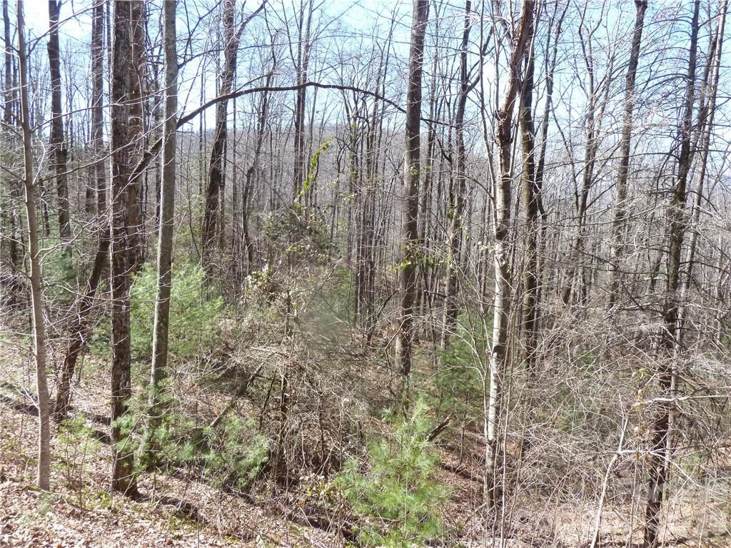 79 Peppervine Circle #L79 - Photo 41