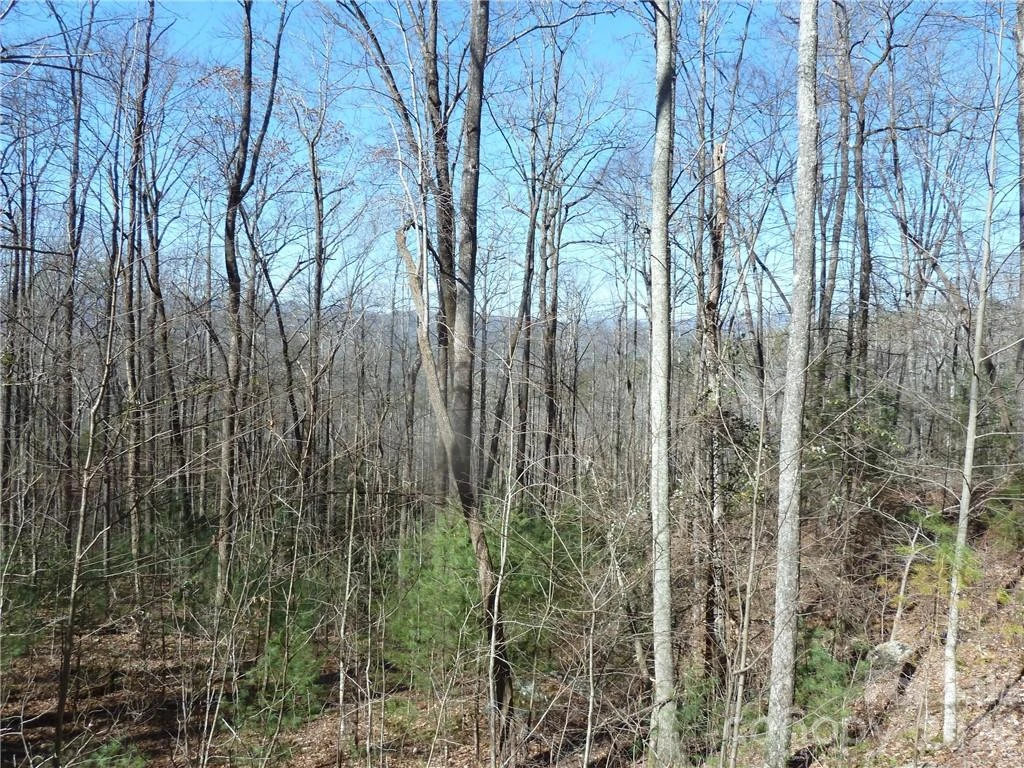 79 Peppervine Circle #L79 - Photo 42