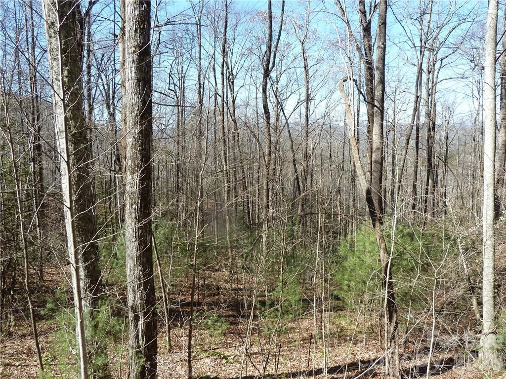 79 Peppervine Circle #L79 - Photo 43