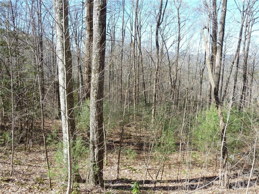 79 Peppervine Circle #L79 - Photo 44
