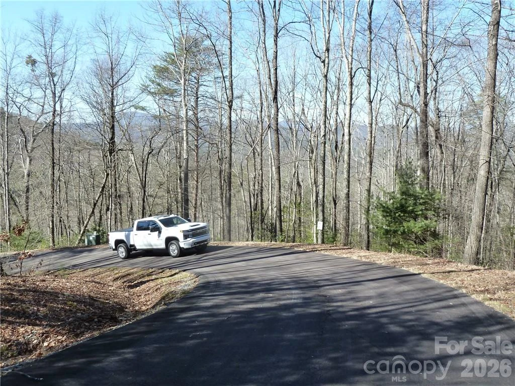 79 Peppervine Circle #L79 - Photo 47