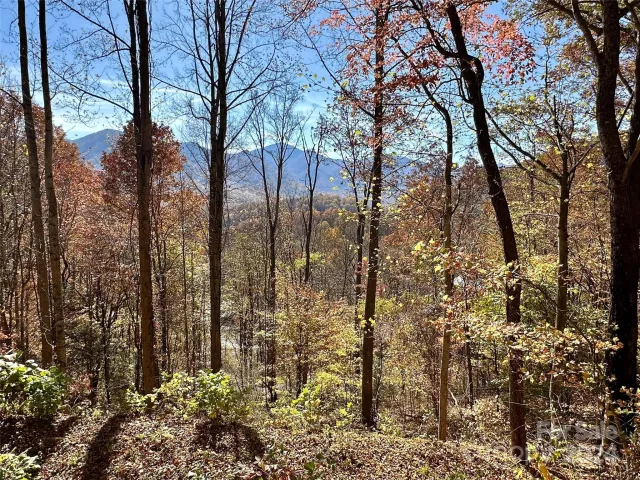 11 Trout Lily Lane
