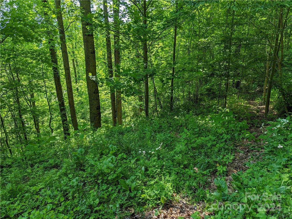 11 Trout Lily Lane #11 - Photo 9