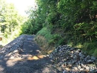 00 Buckeye Drive #35 - Photo 11