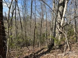 00 Buckeye Drive #35 - Photo 10