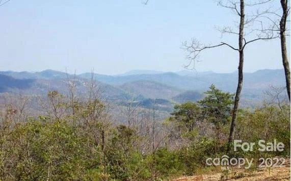 Lot 361 Hickory Nut Lane - Photo 3